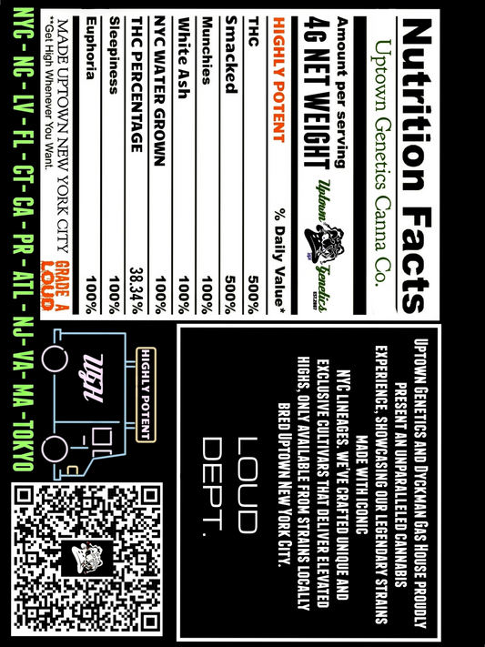 Luxury Tshirt heavy NYC