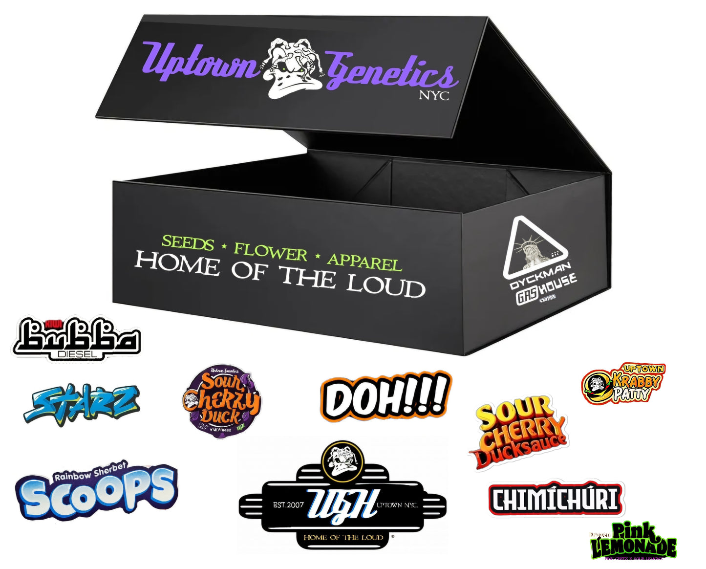 Pre order HOME OF THE LOUD BOX