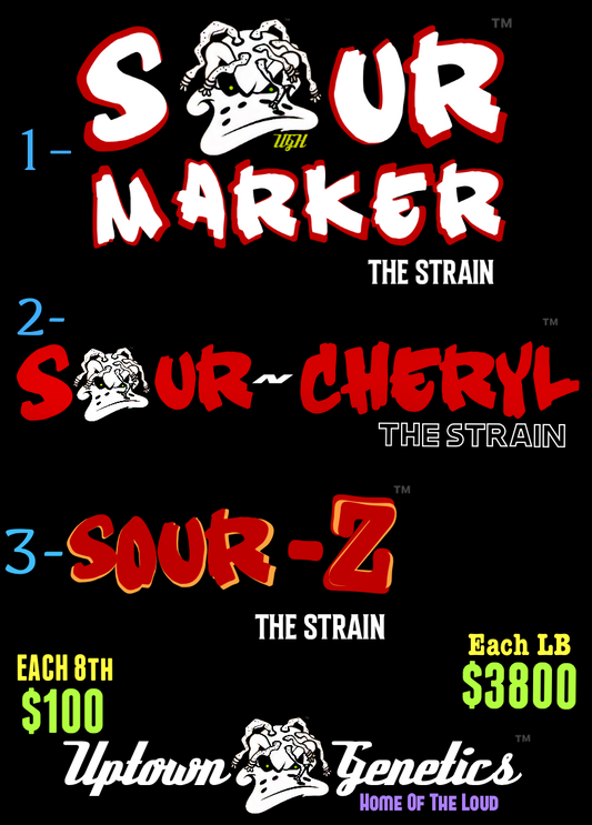 Sourmarker Highly potent feminized seeds