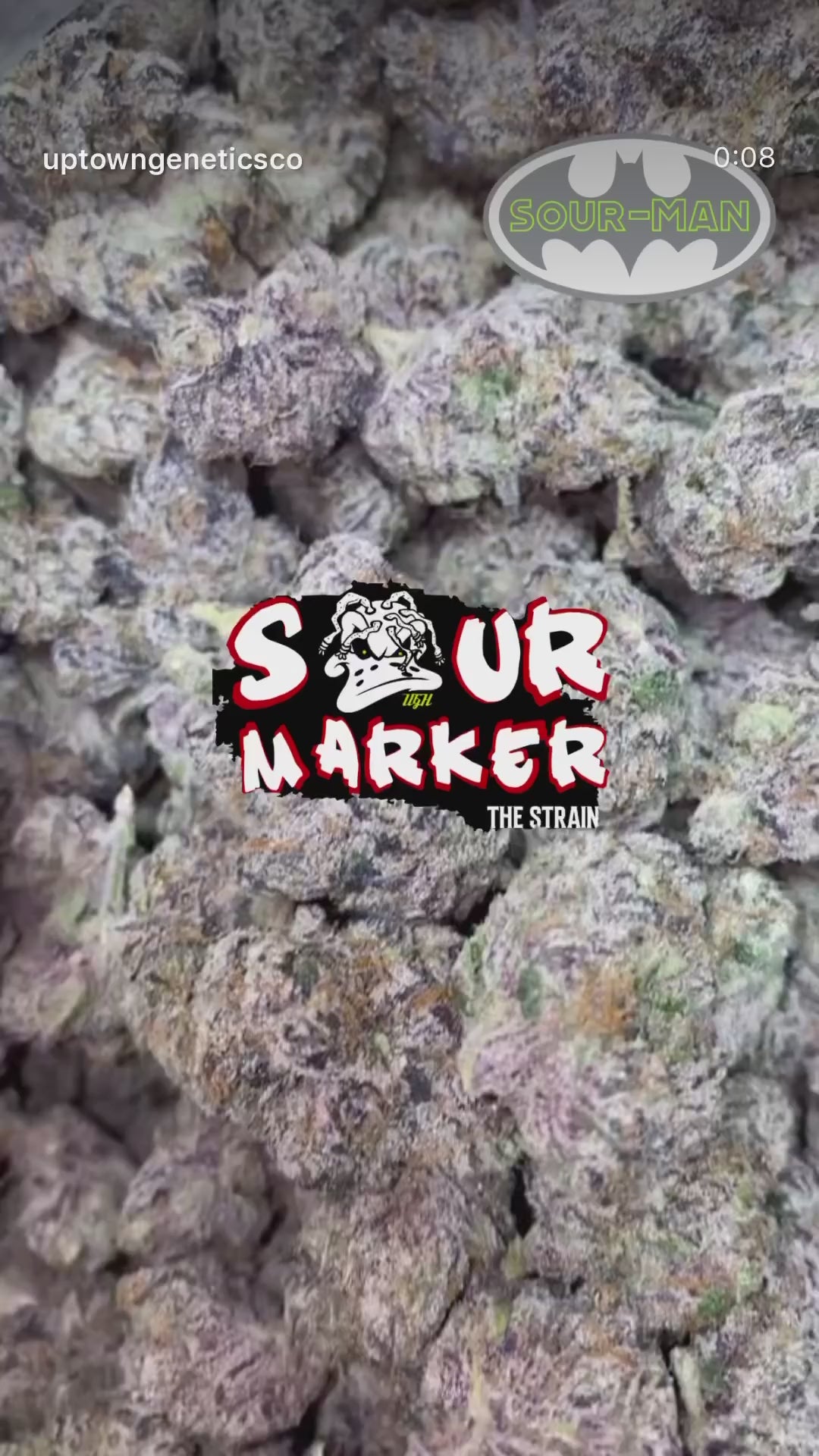 Sour marker seeds